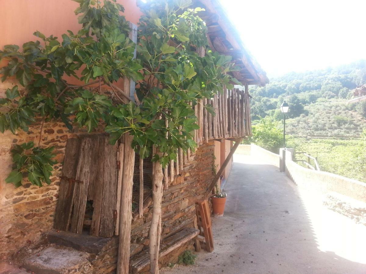 Holiday home Sierra De Gata El Mirador De Robledillo